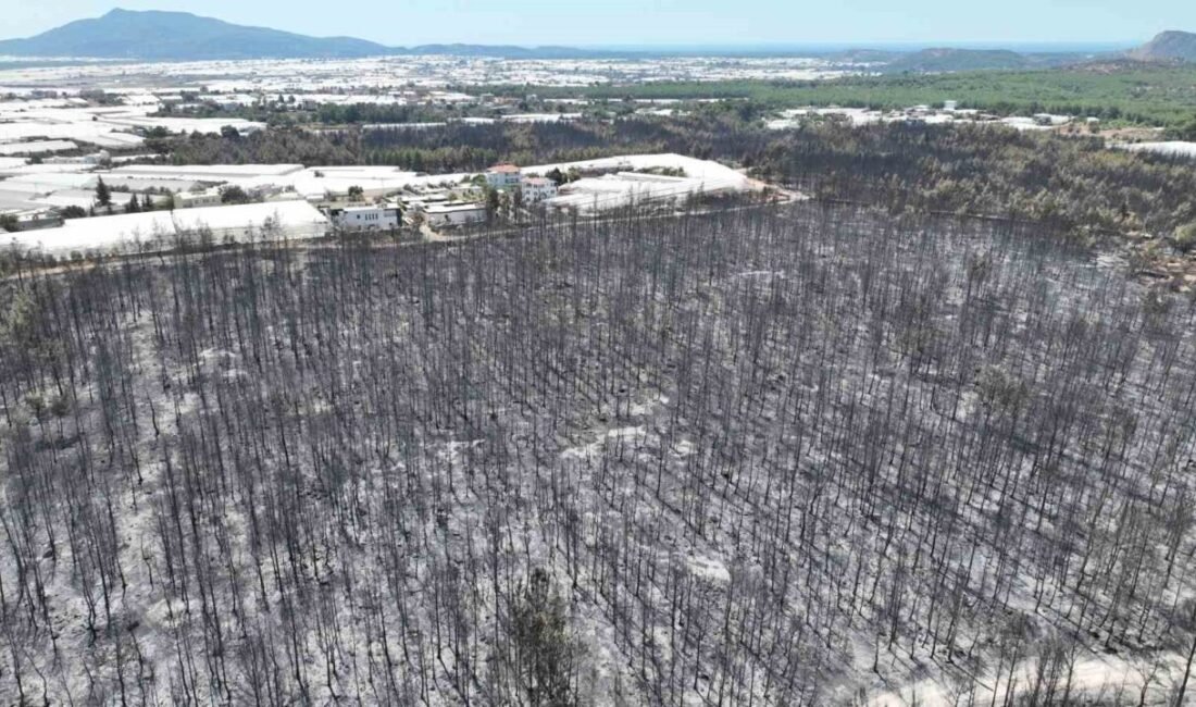 Antalya Büyükşehir Belediyesi, Kaş’ta cumartesi günü çıkan yangından etkilenen vatandaşların