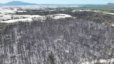 Antalya Büyükşehir Belediyesi, Kaş’ta cumartesi günü çıkan yangından etkilenen vatandaşların