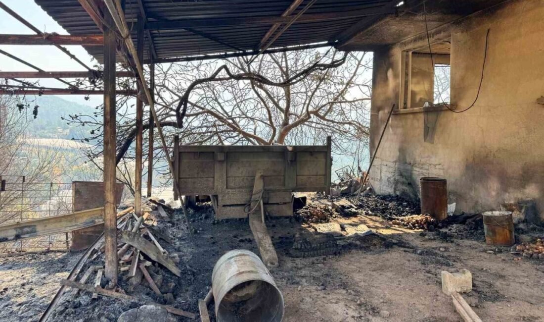 Antalya’nın Kumluca ilçesinde çıkan orman yangını, ekiplerin havadan ve karadan