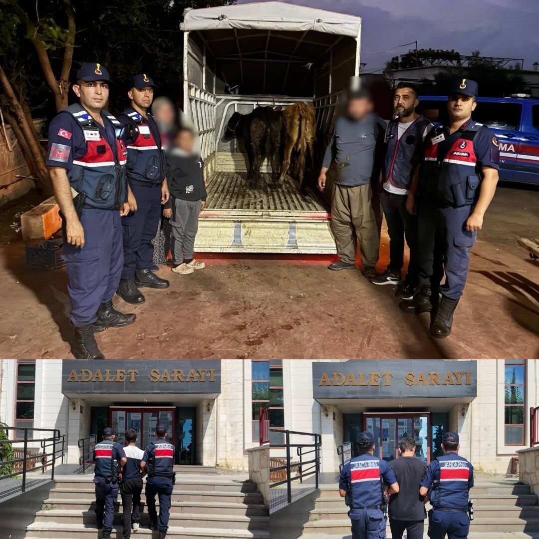 Korkuteli'de hayvan hırsızlığı: 2 şüpheli yakalandı