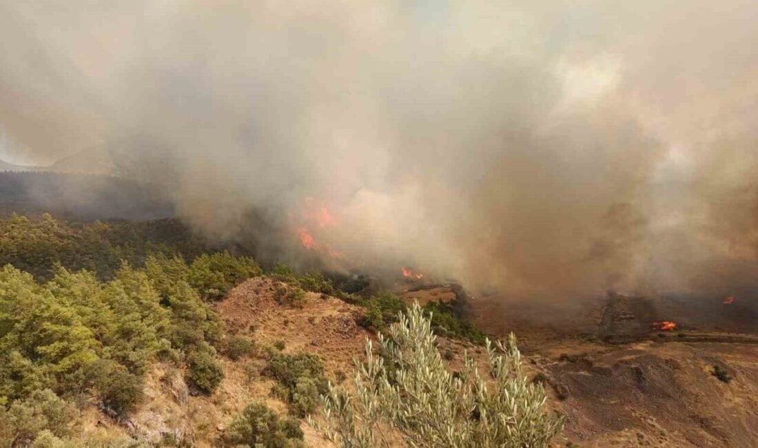 Antalya’nın Kumluca ilçesinde ağaçlık alanda yangın çıktı. İlçeye bağlı Toptaş