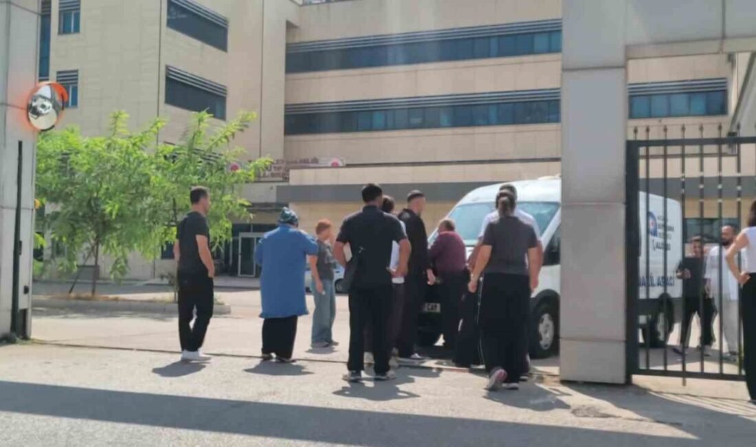 Antalya’da arkadaşları ile birlikte SUP (Kürek sörfü) yaparken dengesini kaybederek