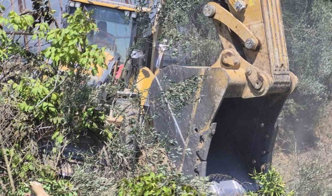 Antalya’nın Manavgat ilçesinde tarım arazisinde başlayıp zeytinlik alana sıçrayan yangında