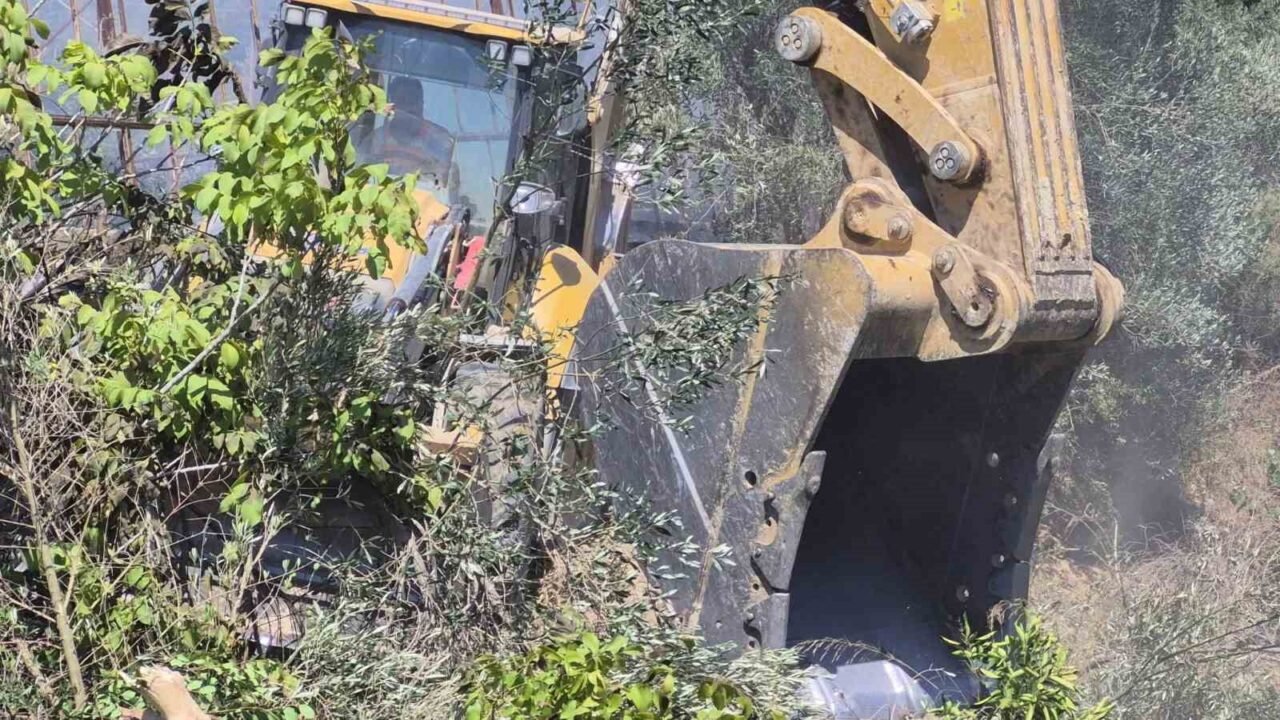 Antalya’nın Manavgat ilçesinde tarım arazisinde başlayıp zeytinlik alana sıçrayan yangında