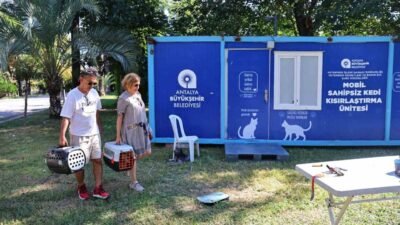 Antalya Büyükşehir Belediyesi’nin sahipsiz kedilere yönelik hizmet veren Mobil Kısırlaştırma