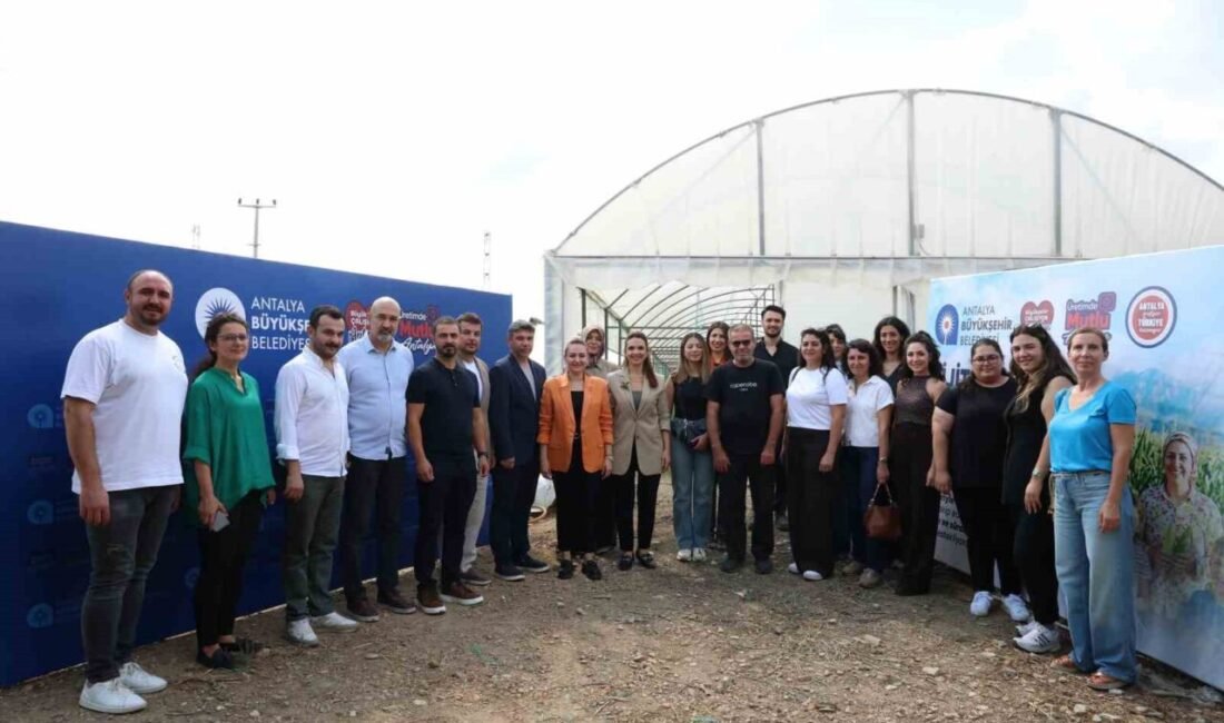Büyükşehir Belediyesi Tarımsal Hizmetler Dairesi Başkanlığı Serik’in Burmahancı Mahallesi’nde toplam