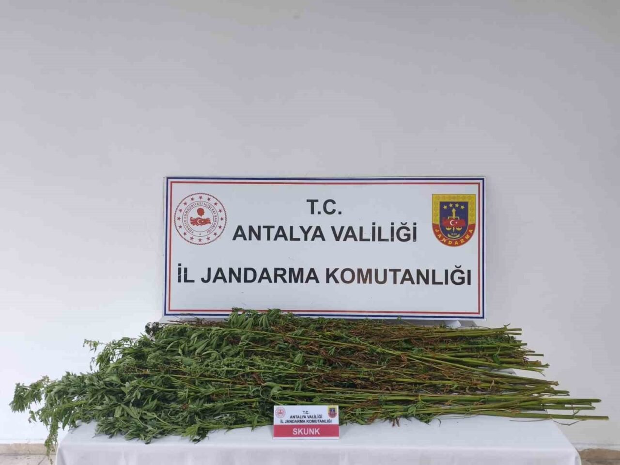 Antalya’nın Serik ilçesinde jandarma ekiplerince bir şüphelinin ikameti ve arazisinde