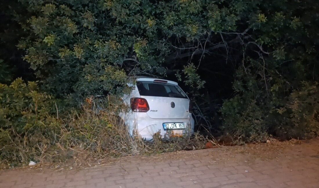 Antalya’nın Manavgat ilçesinde sürücüsünün direksiyon hakimiyetini kaybetmesi sonucu otomobil bahçeye