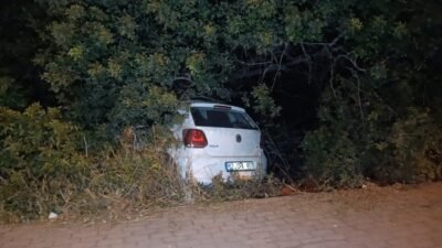 Antalya’nın Manavgat ilçesinde sürücüsünün direksiyon hakimiyetini kaybetmesi sonucu otomobil bahçeye