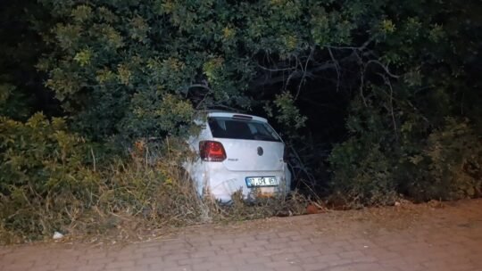 Antalya’nın Manavgat ilçesinde sürücüsünün direksiyon hakimiyetini kaybetmesi sonucu otomobil bahçeye