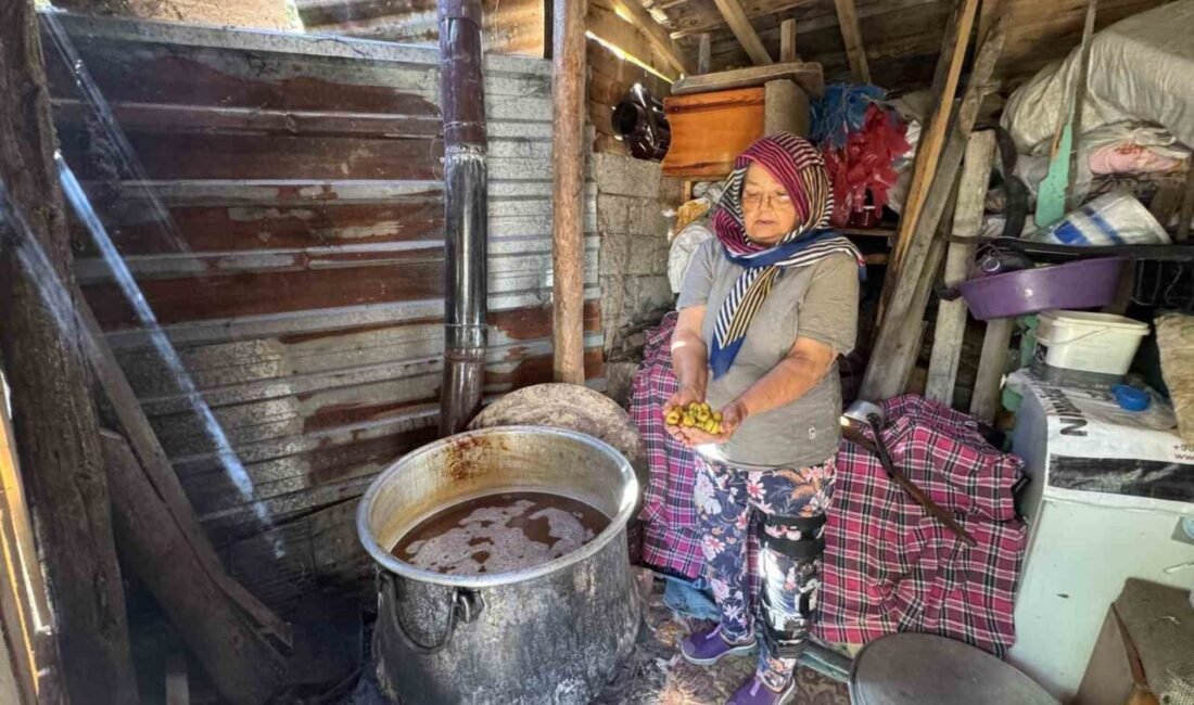 Antalya’nın Akseki ve İbradı ilçelerindeki Toros Dağları’nın yüksek kesimlerinde kendiliğinden