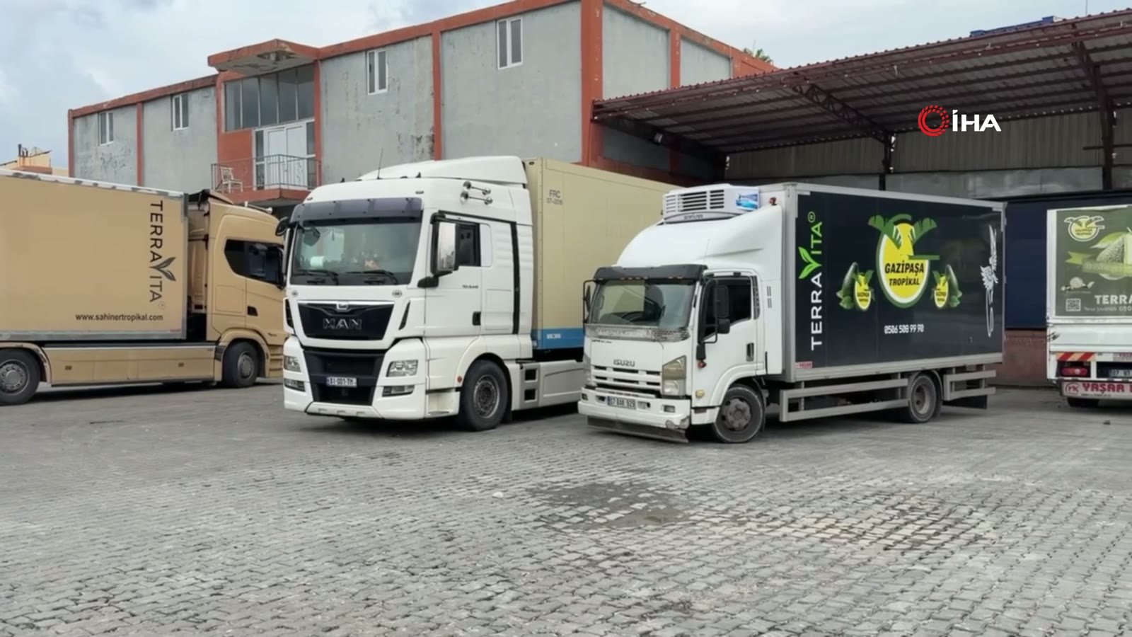 Avokado yüklü tır Gürcistan yolunda