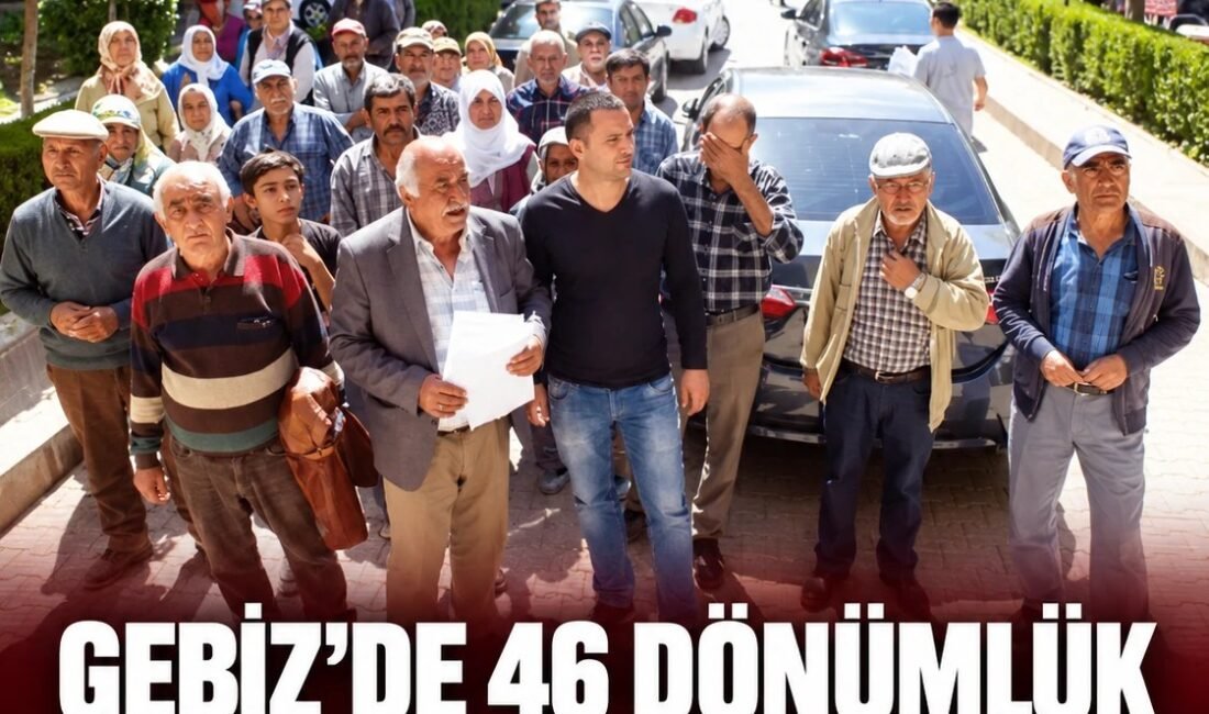 Serik Gebiz'de mahallelinin sarı alan dediği 46 dönümlük arazi sürüldü.