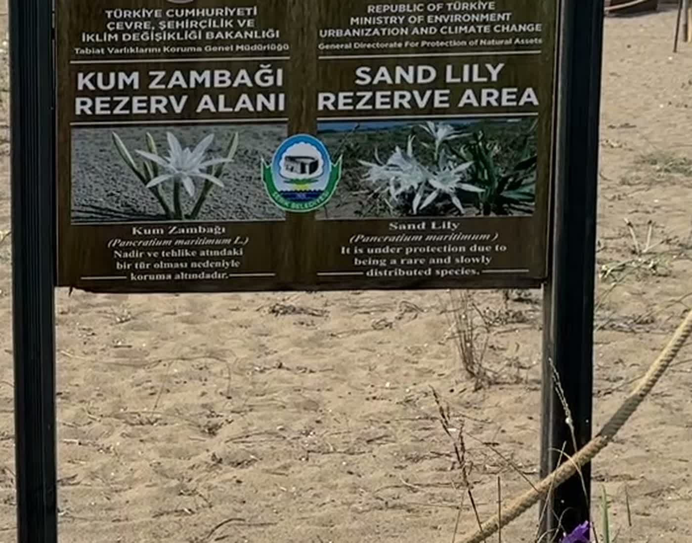 Tabelada Bakanlık, Tabiat Varlıklarını Koruma Genel Müdürlüğü ve Serik Belediyesi yer alıyor
