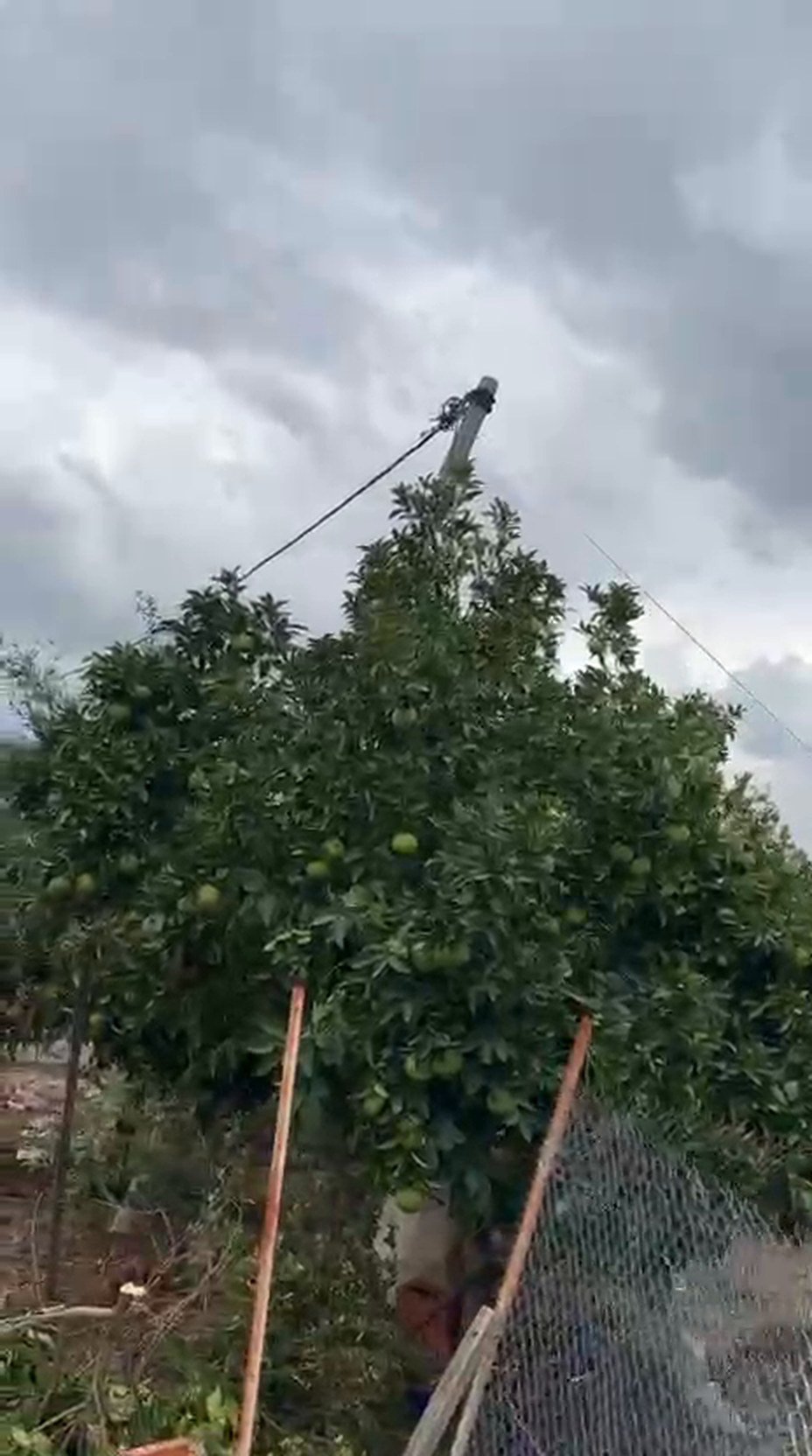 Bahçenin içinden geçirilen elektrik hattı