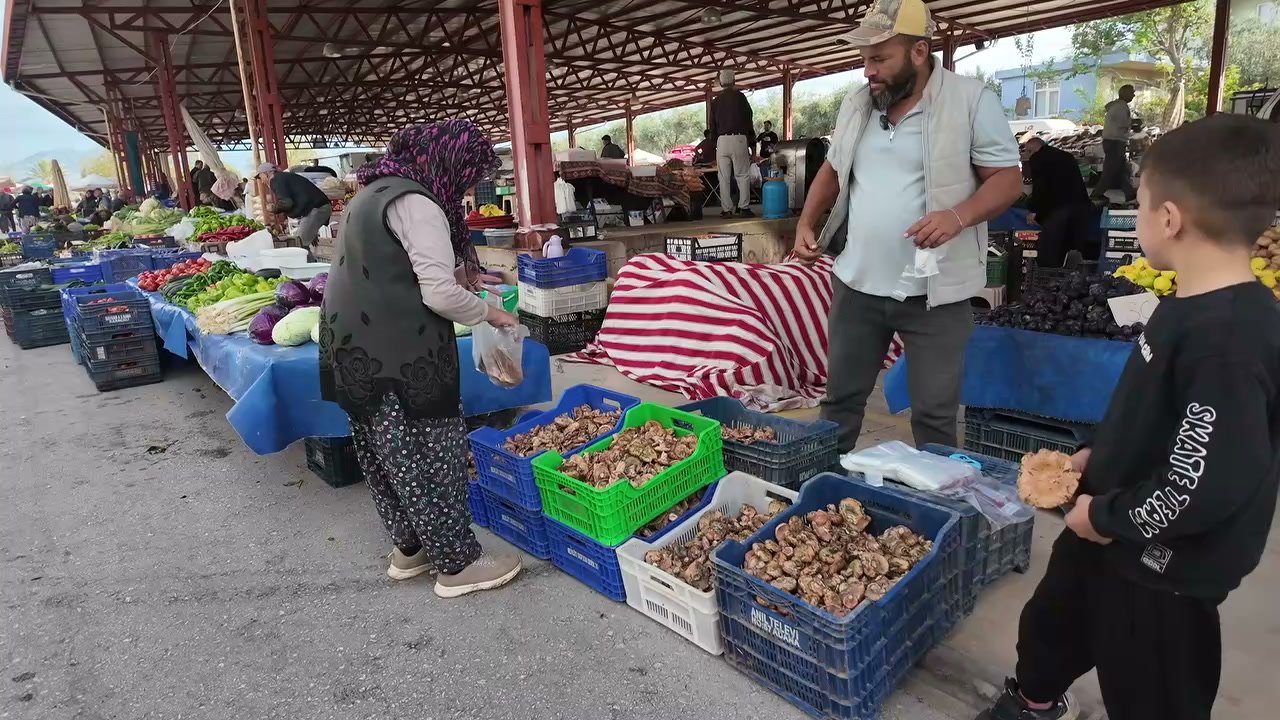 Serik Cuma Pazarı'nda kasalarda satışa sunulan çıntar mantarı
