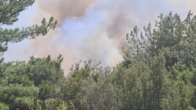 Serik Akbaş'ta 170, Kaş Çayköy'de 10 hektarın zarar gördüğü orman